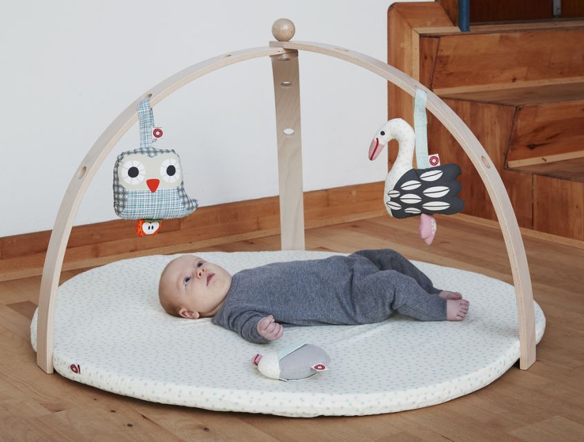 BabySpyder Baby Gym развлечет ваших малышей